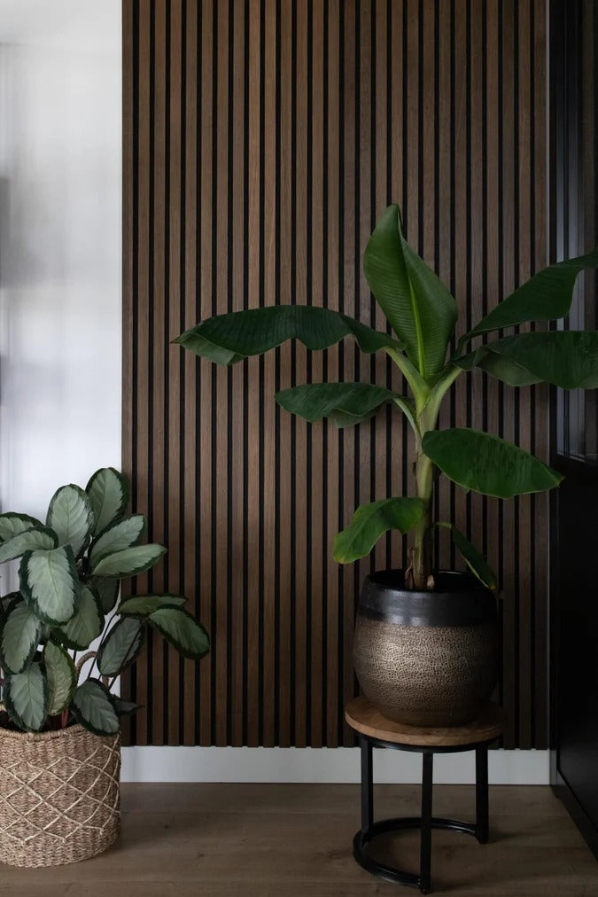 Balci | Akoestische Wandpanelen Eiken | Voor wand en plafond | 260x52 cm