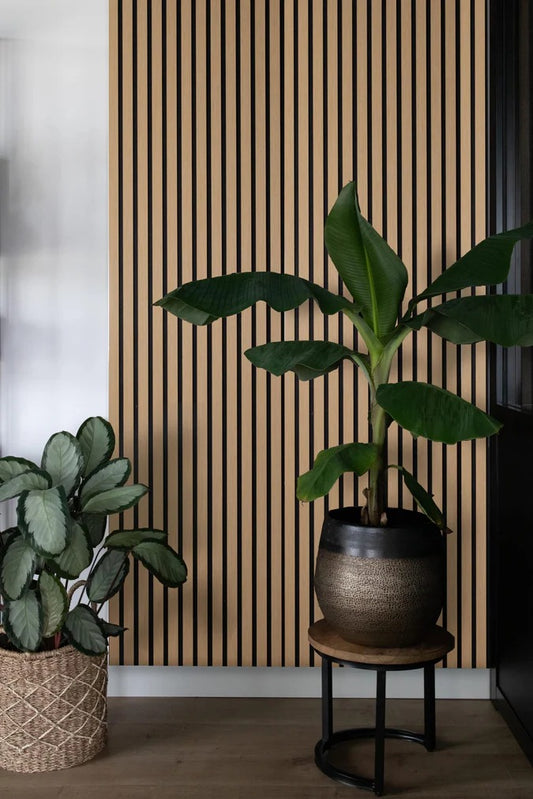 Balci | Akoestische Wandpanelen Naturel Eiken | Voor wand en plafond | 260x52 cm