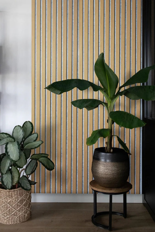 Balci | Akoestische Wandpanelen Naturel Grijs | Voor wand en plafond | 260x52 cm
